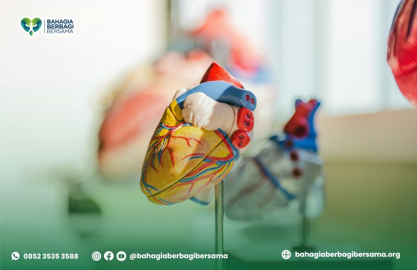 Faktor Resiko Penyakit Jantung