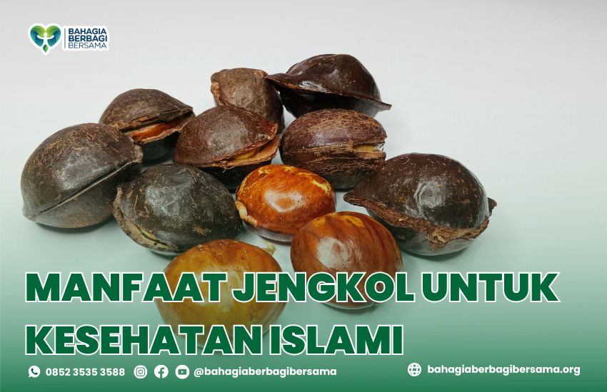 Manfaat Jengkol untuk Kesehatan Islami