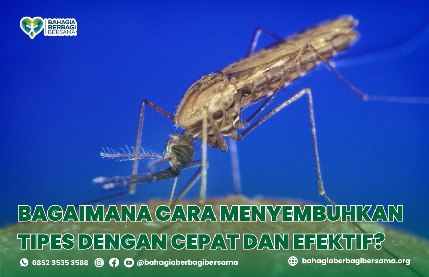 Bagaimana Cara Menyembuhkan Tipes dengan Cepat dan Efektif?