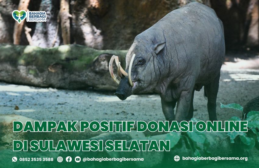 Dampak Positif Donasi Online di Sulawesi Selatan