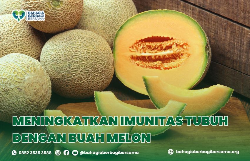 Meningkatkan Imunitas Tubuh dengan Buah Melon
