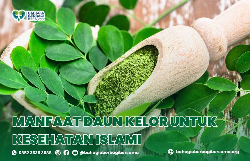 Manfaat Daun Kelor untuk Kesehatan Islami