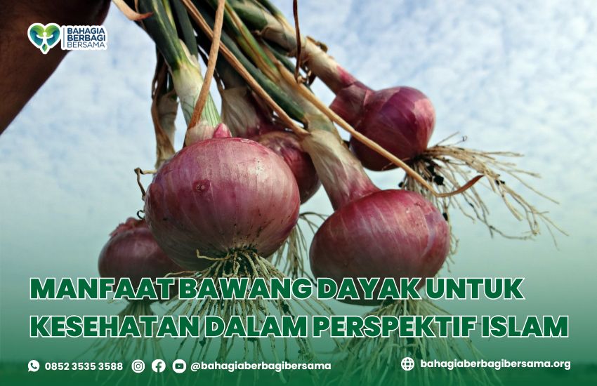 Manfaat Bawang Dayak untuk Kesehatan dalam Perspektif Islam