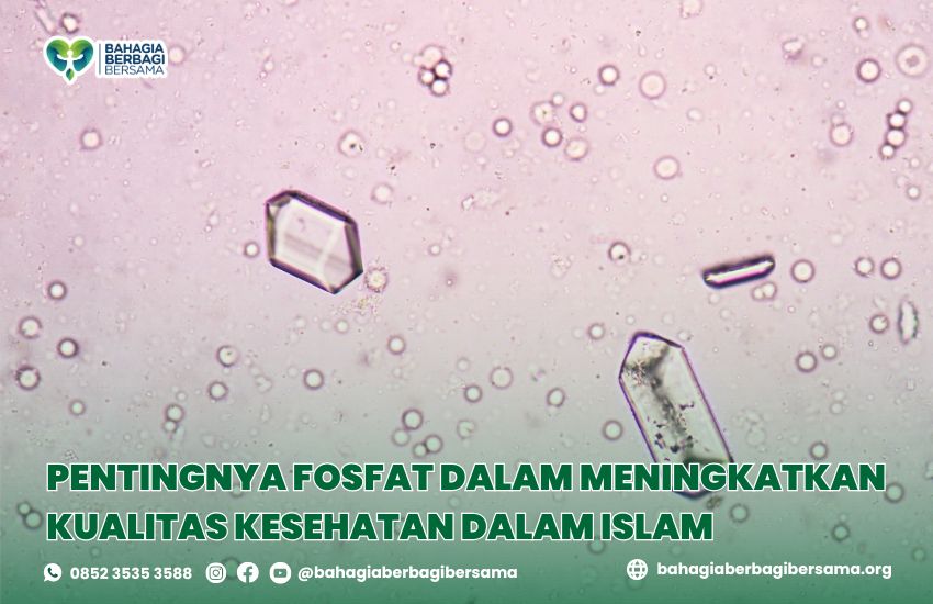 Pentingnya Fosfat dalam Meningkatkan Kualitas Kesehatan dalam Islam