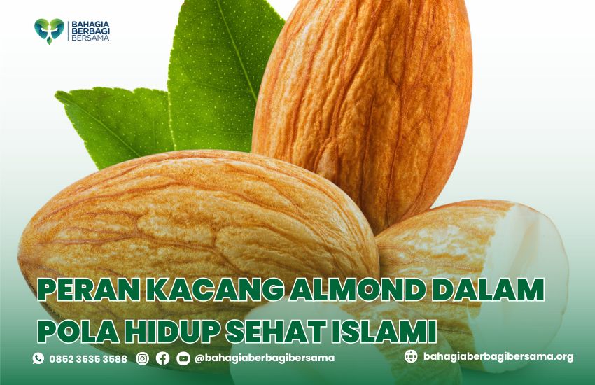 Peran Kacang Almond dalam Pola Hidup Sehat Islami