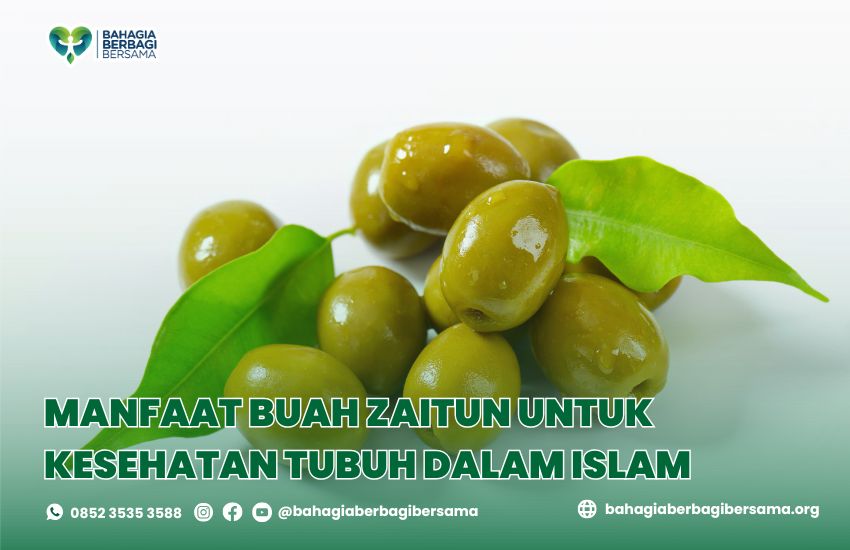 Manfaat Buah Zaitun untuk Kesehatan Tubuh dalam Islam