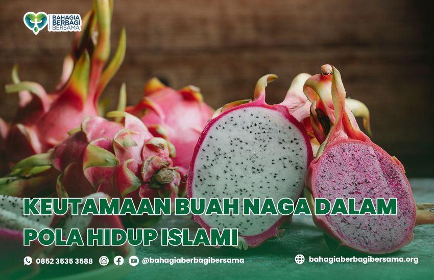Keutamaan Buah Naga dalam Pola Hidup Islami
