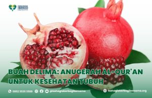 Buah Delima: Anugerah Al-Qur'an untuk Kesehatan Tubuh